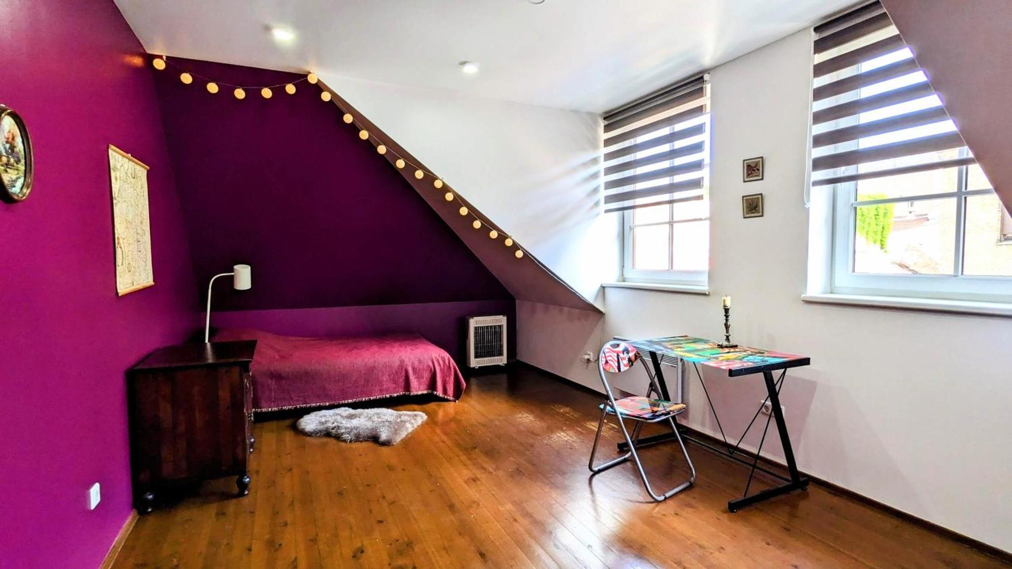 Apartment Cozy By Town Hall With Free Parking Vilnius
